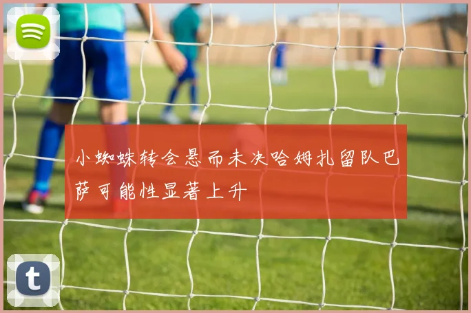 小蜘蛛转会悬而未决哈姆扎留队巴萨可能性显著上升